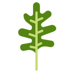 Arugula  Icon