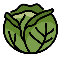 Cabbage  Icon