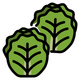 Brussel Sprouts  Icon