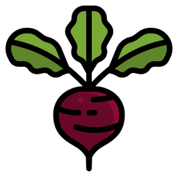 Beetroot  Icon