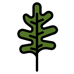 Arugula  Icon