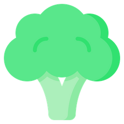 Broccoli  Icon