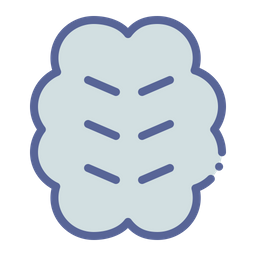 Brain  Icon