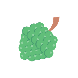 Grapes  Icon