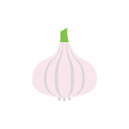 Garlic  Icon