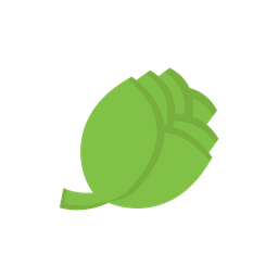 Cabbage  Icon