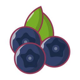 Blueberry  Icon