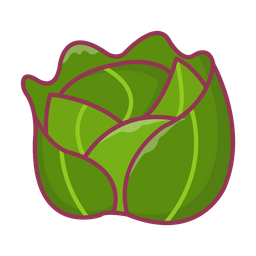 Cabbage  Icon