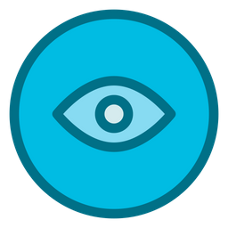 Eye  Icon