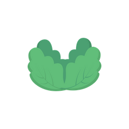 Cabbage  Icon