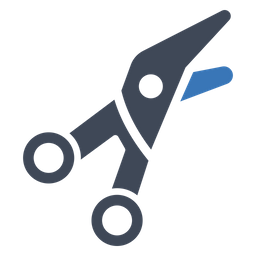 Surgery Scissors  Icon