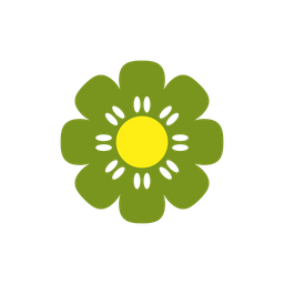 Flower  Icon