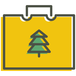 Bag  Icon