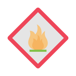 Fire Security  Icon