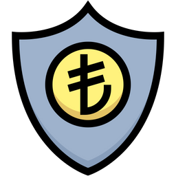 Financial Insurance  Icon