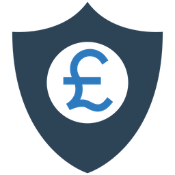 Financial Insurance  Icon