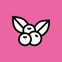 Cherry  Icon