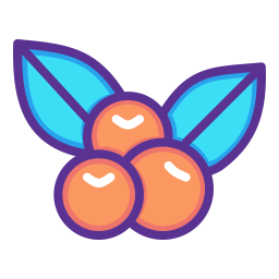 Cherry  Icon