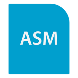 Asm File  Icon