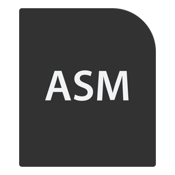 Asm File  Icon