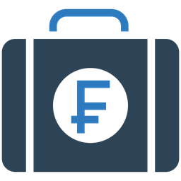 Franc Briefcase  Icon