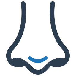 Anatomy  Icon