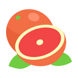 Grapefruit  Icon