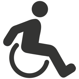 Accessibility  Icon