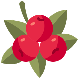 Berry  Icon