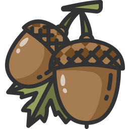 Acorn  Icon