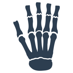 Bones Hand Osteology Icon