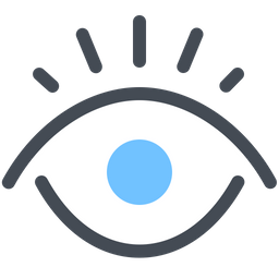 Eye  Icon