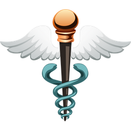 Medical Insurance  Icon