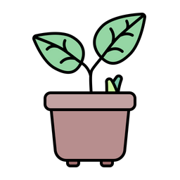 Plant Pot  Icon