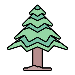 Pine Tree  Icon