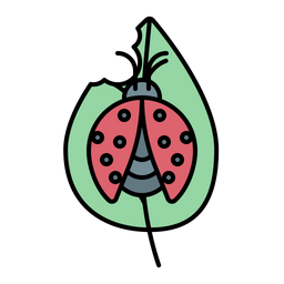 Ladybug  Icon