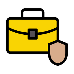 Bag Security  Icon