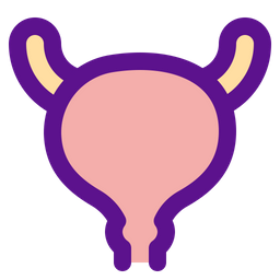 Bladder  Icon