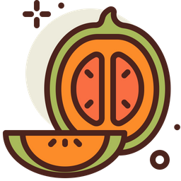 Cantaloupe  Icon