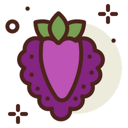 Boysenberry Raspberry  Icon