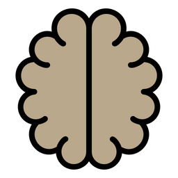 Brain  Icon