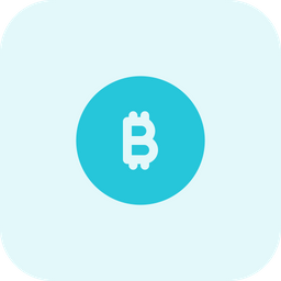 Bitcoin Coin  Icon