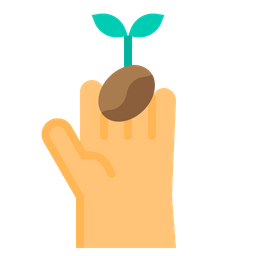 Coffee Beans  Icon