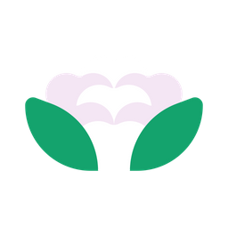 Cauliflower  Icon