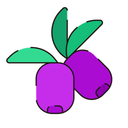 Brinjal  Icon