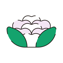 Cauliflower  Icon