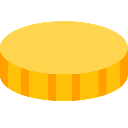 Coin  Icon