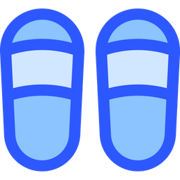 Flipflop  Icon