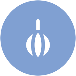 Bauble  Icon