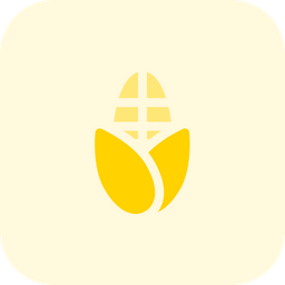 Corn  Icon